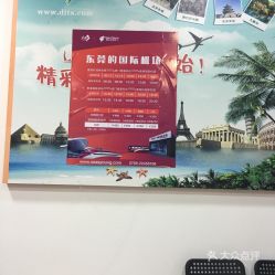 第一國際旅行社（東莞）團購服務全攻略 價格、地址、營業時間及國內旅游服務詳解